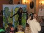 072-CS@G9@20091114_180816_0293.JPG.small.jpeg