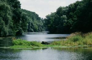 Donau - Lobau